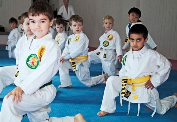 Shotokan Goju Ryu Dojo Martial Arts Grading Belt Junior Special Kids size Easy Tie Shito-Ryu All Styles Of Martial Arts Length For CHILDREN Karate 160cm Kickboxing Karate Belt WHITE,Extra Small Kids Budo