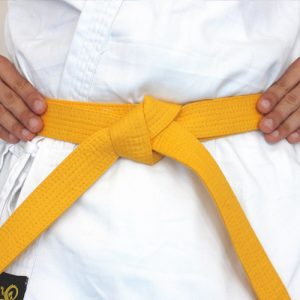 Northstar Ju Jitsu Yellow Belt