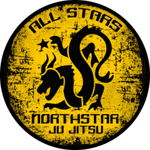 Northstar Martial Arts - All Stars ages 13-15
