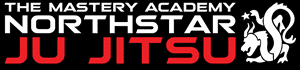 Nnorthstar Ju jitsu Academy