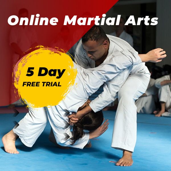 Online Martial Arts