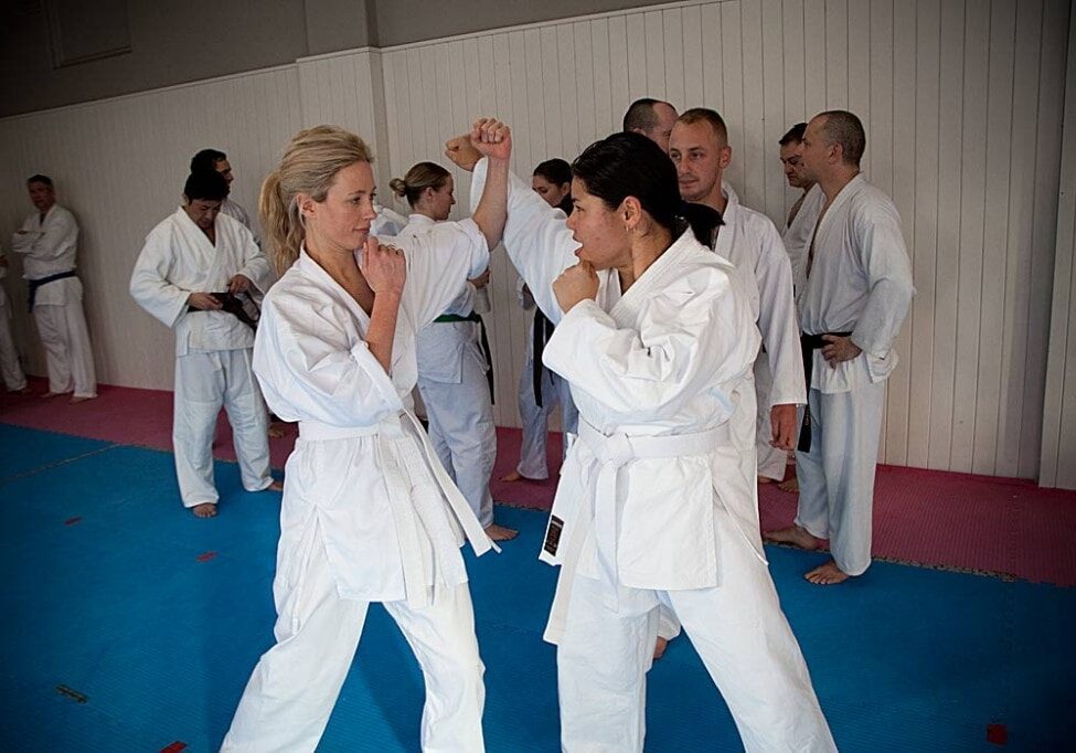 Beginning martial arts